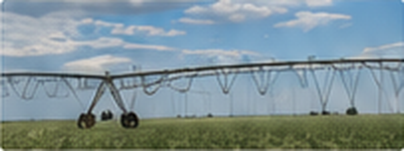 Center-pivot irrigation equipment watering a green Alberta field.